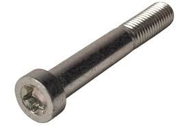 AL-KO Boulon Torx - M8x97 mm - adapté à l'AL-KO AKS2004