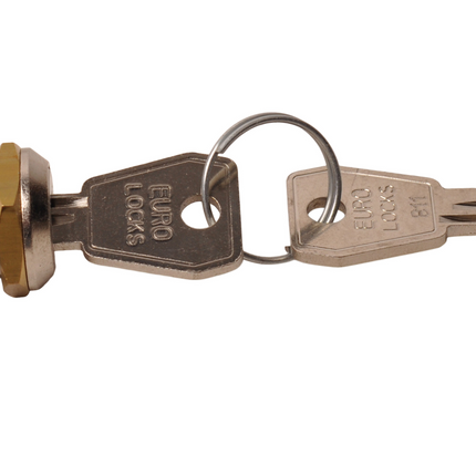 AL-KO Serrure détachée AL-KO V-box profi - inclut les clés