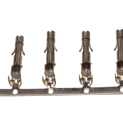 Aspock Connecteur à baïonnette Aspöck droit - 5 broches - vert