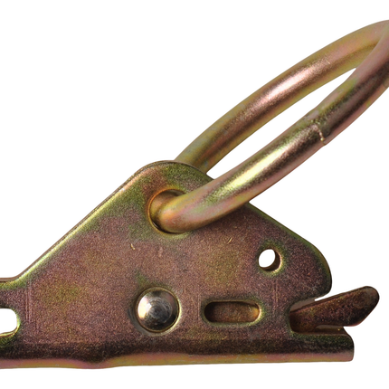 Cantonal Anneau de fixation pour rails d'arrimage de camion 80x14 mm