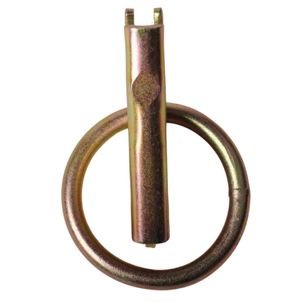 Cantonal Anneau de fixation pour rails d'arrimage de camion 80x14 mm