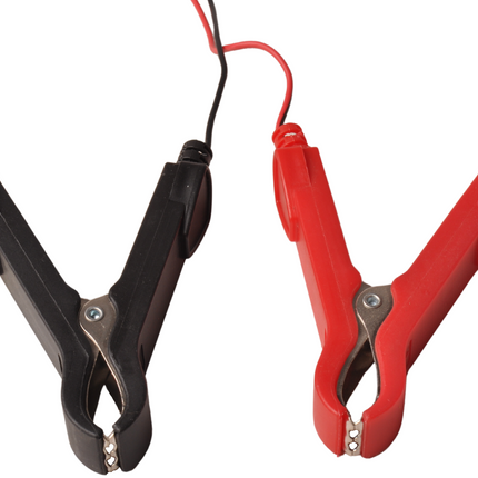 Cantonal Chargeur d'entretien / Entraîneur de batterie / Chargeurs de batterie 12V