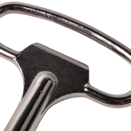 Cantonal Clé carrée Serrure à palastre