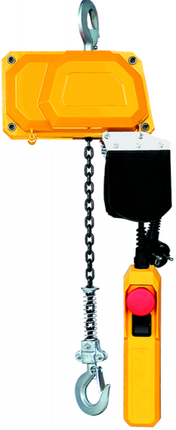 Cantonal Palan à chaîne électrique - 150 kg - 220V - 3 mètres de hauteur de levage