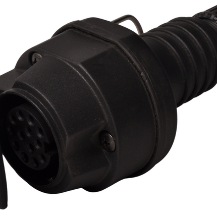 Cantonal Prise de courant rallonge 13 broches