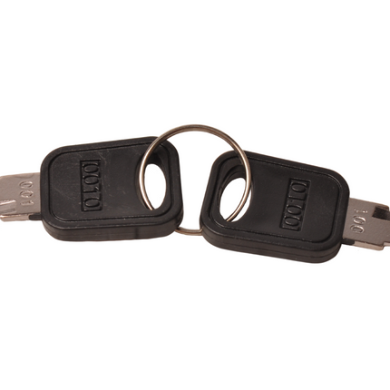 Cantonal Serrure individuelle pour Noviobox - livrée avec 2 clés