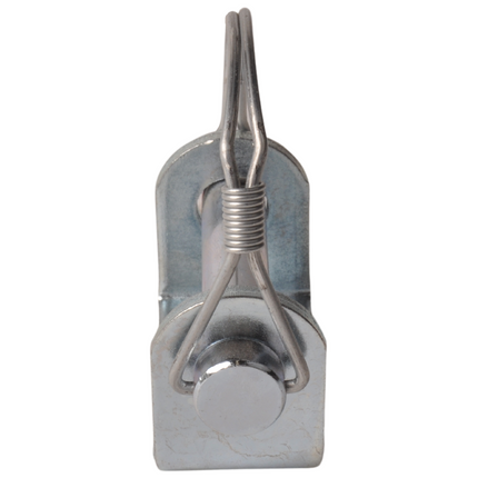 Cantonal Support de charnière à visser + goupille de verrouillage pour charnière de panneau arrière