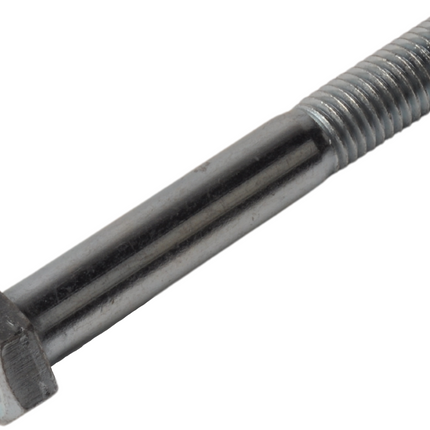 Cantonal Vis M14 x 100