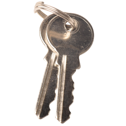 ProPlus Cadenas 50 mm