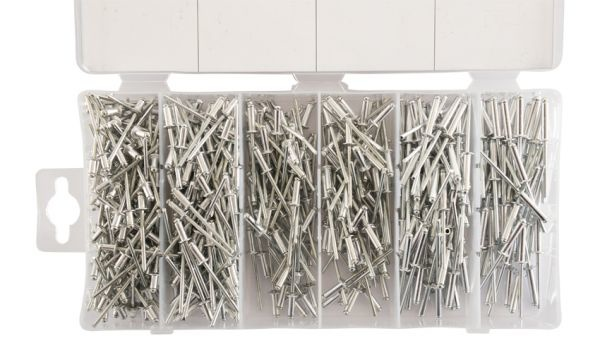 Cantonal Boîte d'assortiment avec rivets - 500 pièces