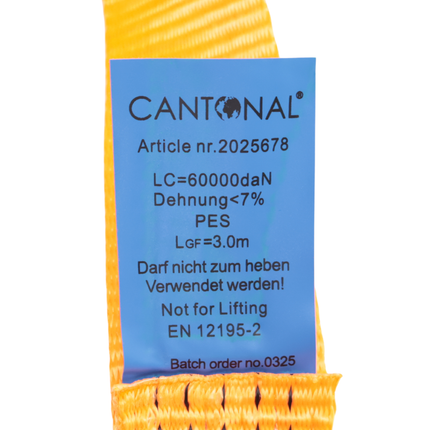 Cantonal Câble de remorquage premium 5000 kg – 300x5 cm