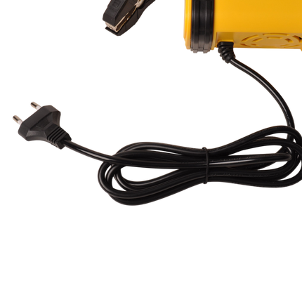 Cantonal Chargeur de batterie intelligent 12V/24V – 12A/6A – 7 phases de charge