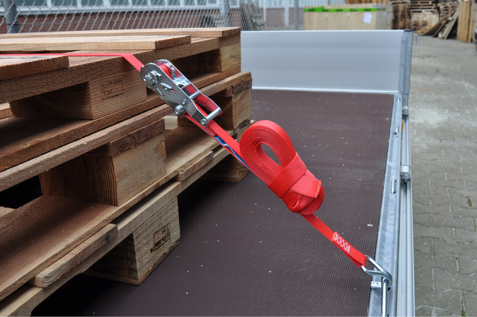 Cantonal Lot de 2 sangles d'arrimage - 700x2,5 cm - rot - charge de rupture 750 kg