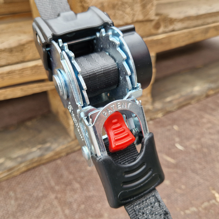 Cantonal Lot de 2 sangles d'arrimage automatique - 180x2,5 cm - charge de rupture 600 kg - avec crochets en S et clips de sécurité