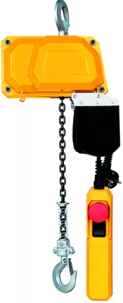 Cantonal Palan à chaîne électrique - 150 kg - 220V - 3 mètres de hauteur de levage