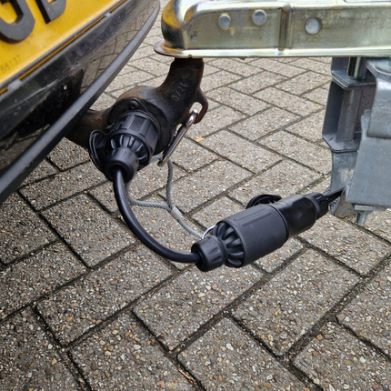 Cantonal Rallonge/extension de prise 13 broches - câble de 10 cm