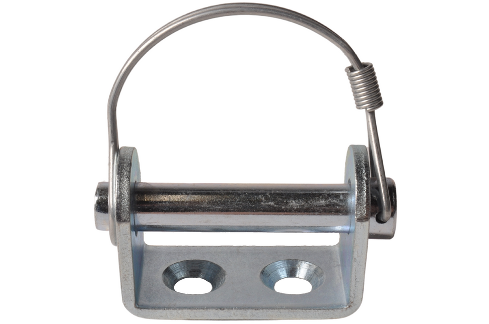 Cantonal Support de charnière à visser + goupille de verrouillage pour charnière de panneau arrière