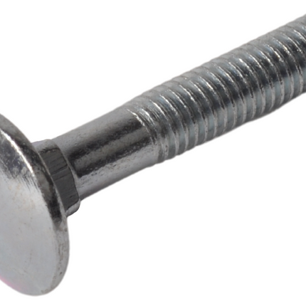 Cantonal Vis de serrure M6 x 35 mm