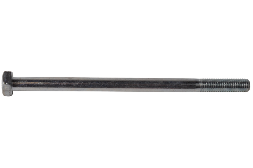 Cantonal Vis M10 x 160 mm