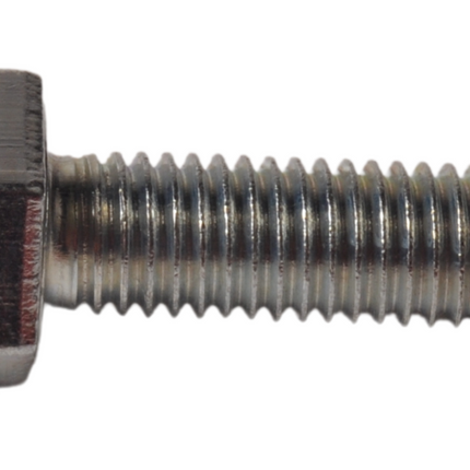 Cantonal Vis M10 x 30 mm