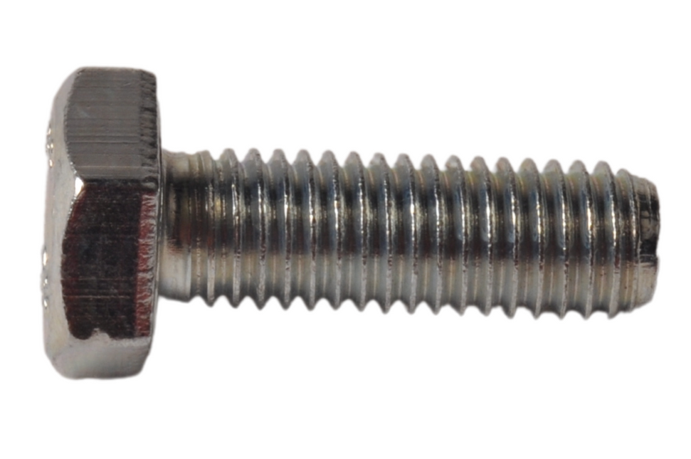 Cantonal Vis M10 x 30 mm