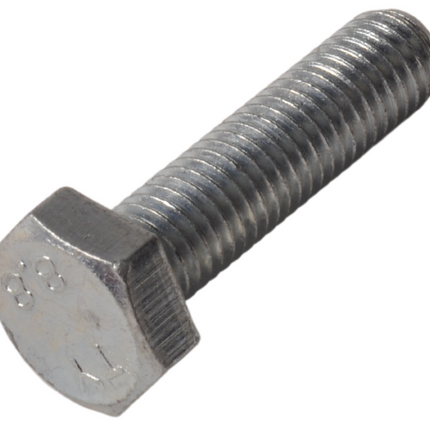 Cantonal Vis M10 x 40 mm