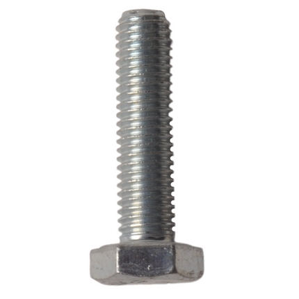 Cantonal Vis M10 x 40 mm