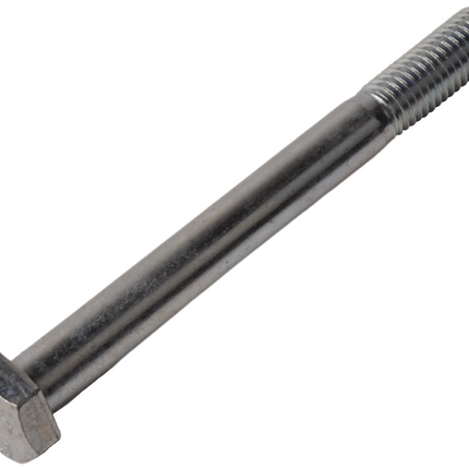 Cantonal Vis M12 x 120 mm