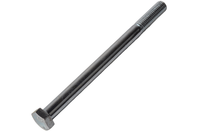 Cantonal Vis M12 x 160 mm