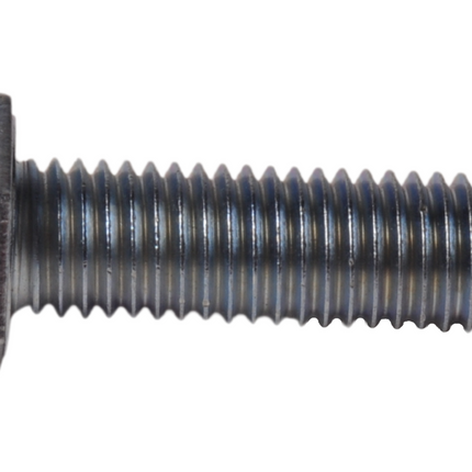 Cantonal Vis M12 x 40 mm