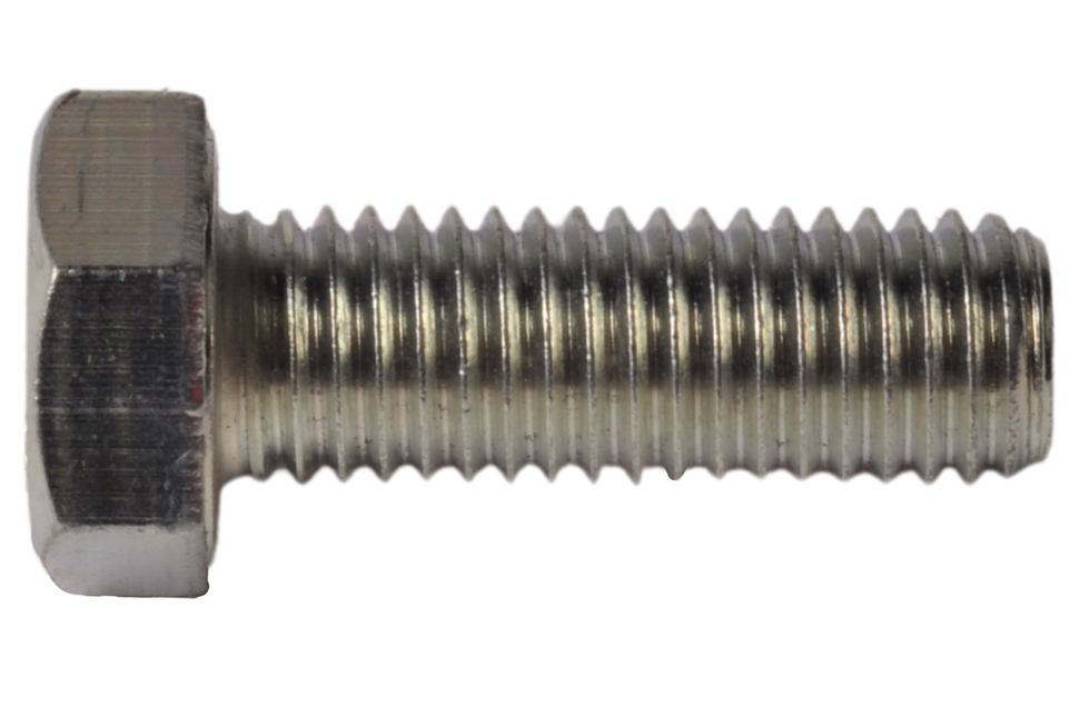 Cantonal Vis M14 x 40 mm