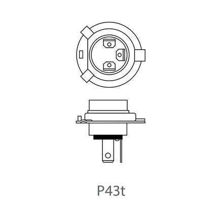 ProPlus Ampoule H4 pour voiture 12V 60/55W P43t en carton