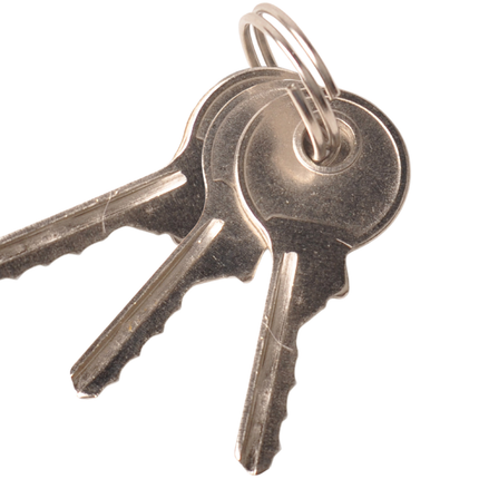 ProPlus Cadenas 40 mm avec anse longue 61 mm