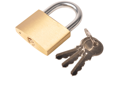 ProPlus Cadenas 50 mm