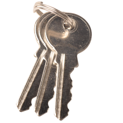 ProPlus Cadenas 50 mm